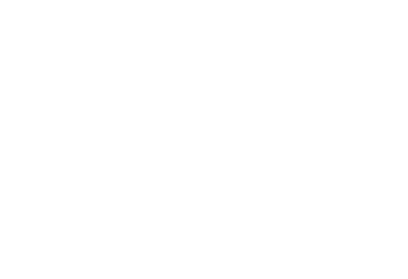 Reno Sparks Christmas Light Installation Logo