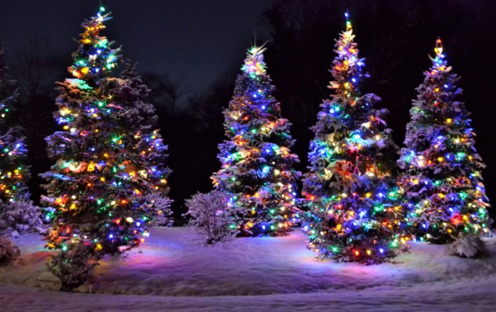 christmas light display in reno and sparks